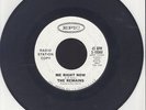 The Remains - Me Right Now / Don't Look Back - 7