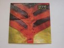 YEAH YEAH YEAHS - Show your Bones ***US-Vinyl-LP***NEW***