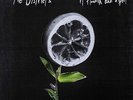 The Districts - Flourish and a Spoil