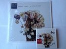 SLEATER KINNEY - NO CITIES TO LOVE 12