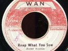 Peter Austin - Reap What You Sow JA orig WAN 7