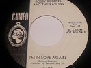 Bobby Roberts And The Ravons - How Can I Make Her Mine - Killer 60s Garage 45