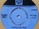 Pesky Gee- Where is My Mind/ A Place of Heartbreak 45 EX PYE Psych Black Widow