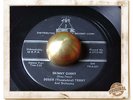 Dossie Terry Skinny Ginny R&B BLUES ROCKER JIVER HEAR 45