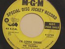 THE VELOURS-I'M GONNA CHANGE /DON'T PITY ME - PROMO-NORTHERN 45 on MGM