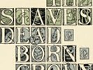Staves - Dead & Born & Grown NEW LP