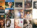 Gordon Lightfoot, 16 Vinyl Record Lot, 14 LP, 1 DLP, 1 7
