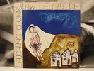 LAUGHING CLOWNS - LAW OF NATURE LP NEAR MINT 1984 UK HOT 1004