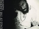 on u sound LP : SINGERS & PLAYERS-revenge of the underdog    (hear)