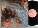 Stefan Zauner  Prism & Views   Prog  Amon Duul II  German Press