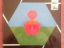 WHITE FENCE - FAMILY PERFUME VOL 2 - RARE VINYL LP - PSYCHEDELIC GARAGE WOODSIST