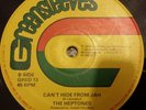 The Heptones Can't Hide From Jah Killer Roots 12