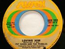 Soul 45 - Pat Sands & Pebbles - Loving him - Mint- promo