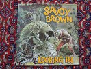 SAVOY BROWN ---  LOOKING IN