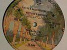 ASHFORD & SIMPSON- ONE MORE TRY / CARETAKER **U.S. PROMO 12