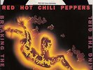 RED HOT CHILI PEPPERS  Breaking The Girl PICTURE SLEEVE 7