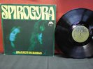 SPIROGYRA - Bells, Boots and Shambles LP GERMAN  TUDOR LODGE THE TREES