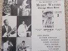 THEY DONE IT AGAIN VOL.2:  THE BLUESMEN OF THE MUDDY WATERS CHICAGO BLUES BAND