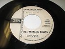 FANTASTIC BAGGYS Alone On The Beach 45 7