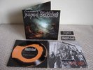 DISMA / CONVULSE: Days Of Death * Split 7