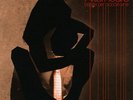 AFTERHOURS - BALLADS FOR LITTLE HYENAS [ 2007 - 2LP NERO ]