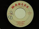 BUFFALO REBELS Donkey Walk MARLEE hear soundclip MAD MIKE