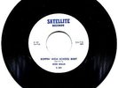 Don Willis Boppin' High School Baby / Warrior Sam 1960 Original NM