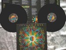 JETHRO TULL 2LP Roots To Branches