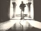 NEIL YOUNG -LP-  LE NOISE- FOC- PRÄGECOVER- UNGESPIELT 