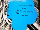 RARE ANDY WARHOL 12” ART COVER VELVET UNDERGROUND / blue version