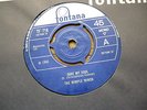 THE WIMPLE WINCH: SAVE MY SOUL / EVERYBODYS: 1966 TF718:  SEE