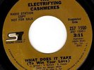 ELECTRIFYING CASHMERES - WHAT DOES IT TAKE - NORTHERN SOUL CROSSOVER 45 - HEAR