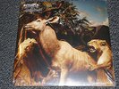 Interpol - Our Love to admire - NEU+verschweisst - 2xLP US incl.CD