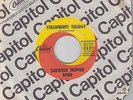 SIDEWALK SKIPPER BAND Strawberry Tuesday 45 on Capitol M- psych garage fuzz HEAR