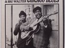JOHNNY YOUNG & BIG WALTER: Chicago Blues ARHOOLIE scarce STEREO vinyl LP