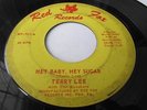TERRY LEE & THE REVELERS MAD MIKE GARAGE ROCKER RED FOX LBL HEY BABY,HEY SUGAR