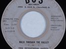 Black Gospel 45 SENSATIONAL SAINTS Walk Through the Valley BOS HEAR