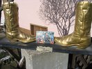 autogramme - bellamy brothers