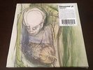 Dinosaur Jr. Visitors Mascis 5 x 7
