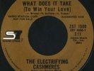 ELECTRIFYING CASHMERES What Does It  (Sound Stage 7 1500) Northern Soul 45 NM