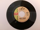 Danny Wagner I Lost a True Love Rare Northern Soul Very Clean hear it.