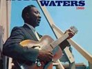 Muddy Waters-At Newport 1960 Vinyl / 12