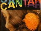 GAL COSTA CANTAR 1974 JOAO DONATO PHILIPS BRAZIL LP ORIGINAL SOUL GROOVIE