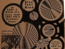 Psychedelic Disaster Whirl  (low # orig.) = Rare 16 Rare Garage Punk (Frantic)