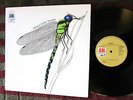 CLEAN 1970 UK ORIG   THE STRAWBS   DRAGONFLY   Dreamy Moody Electric Folk Psych