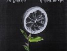 The Districts - A Flourish And A Spoil LP