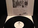 Assorted Heap - The Experience of Horror / Rare Testpressing LP / PROTECTOR