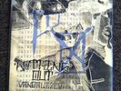 Rotting Out-Vandalized Rainfest Press Title Fight Terror Peice By Peice Bane