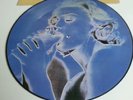 Madonna-Erotica (Picture Disc Vinyl 12