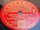 Elly Ney Strub Hoelscher Schubert Electrola DB 4533—7 German 5x78rpm 12’’ E+